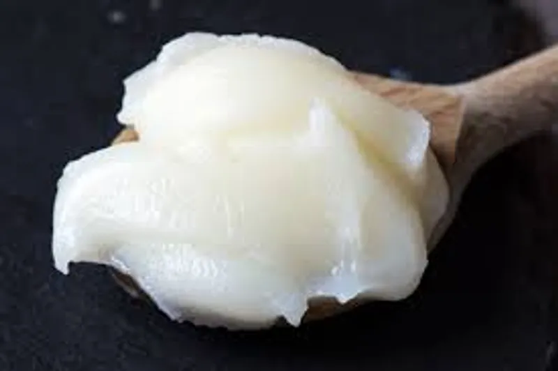 Manteca de Cerdo Pura